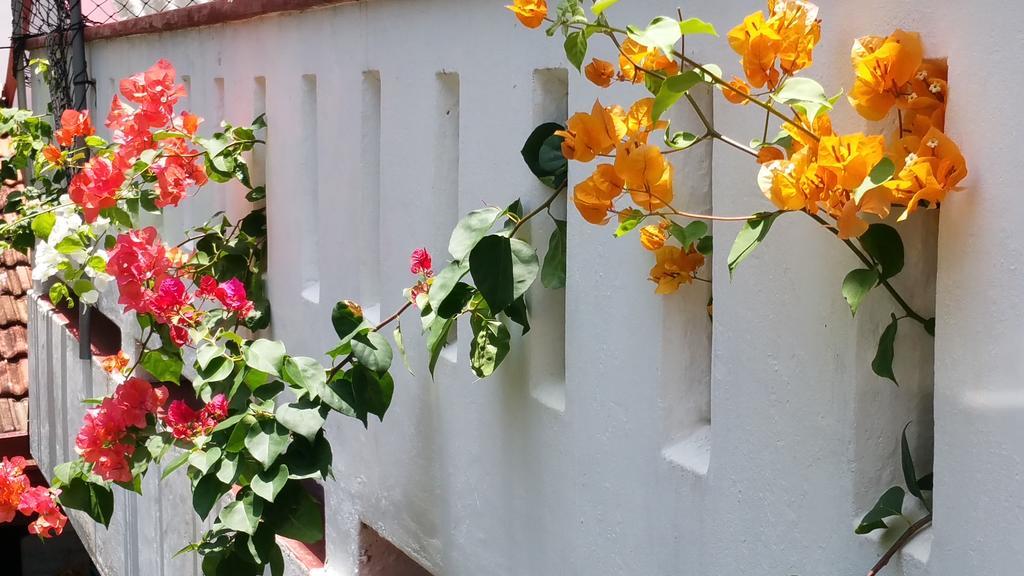 Desitha Family House Hotel Mirissa Exterior photo
